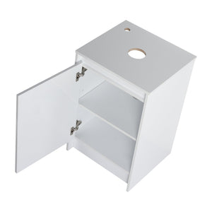 English Elm 20" Freestanding Vanity with Ceramic Sink Soft Close Storage Glossy White Bath W999S00386