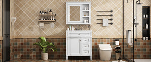 English Elm 30'' Modern Bathroom Vanity Set With Ceramic Sink & Mirror Cabinet - Stylish Storage Solution! SW000127AAK-1