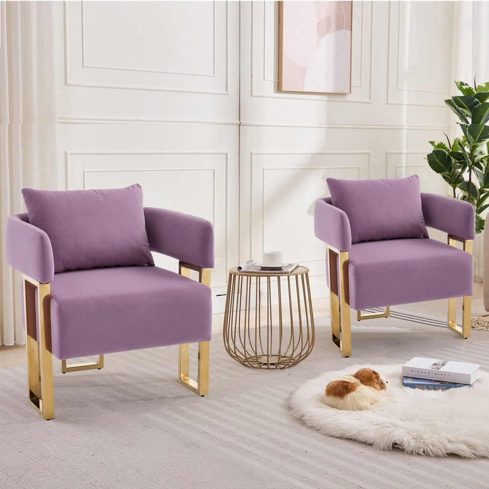 English Elm TS Modern decorative chair Lilac - Teddy fleece velvet 2PCs, gold legs, ergonomic sponge comfort, chic W2311P333677