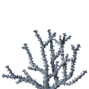 Blue Coral Set of 2 - Stunning Nature-Inspired Decorative Accents for Seaside Homes & Colorful Spaces