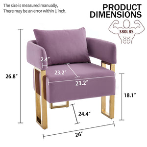 English Elm TS Modern decorative chair Lilac - Teddy fleece velvet 2PCs, gold legs, ergonomic sponge comfort, chic W2311P333677