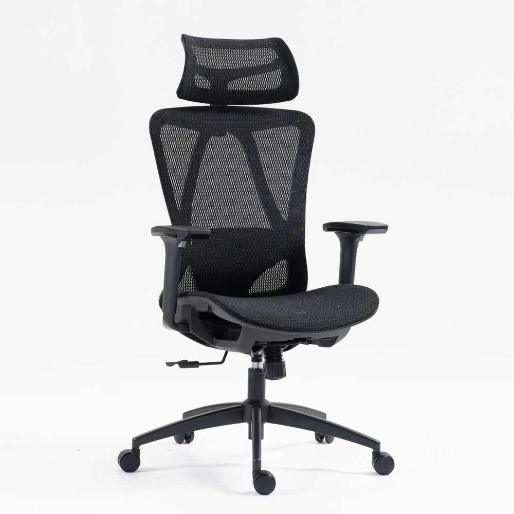 English Elm High Back Breathable Mesh Office Chair with Reclining Support and 3d Adjustable Arms W3326P330176