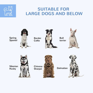 English Elm Pawhut Galvanized Steel Outdoor Dog Run with Uv Roof Lockable Gate for Large Dogs W2225P200785