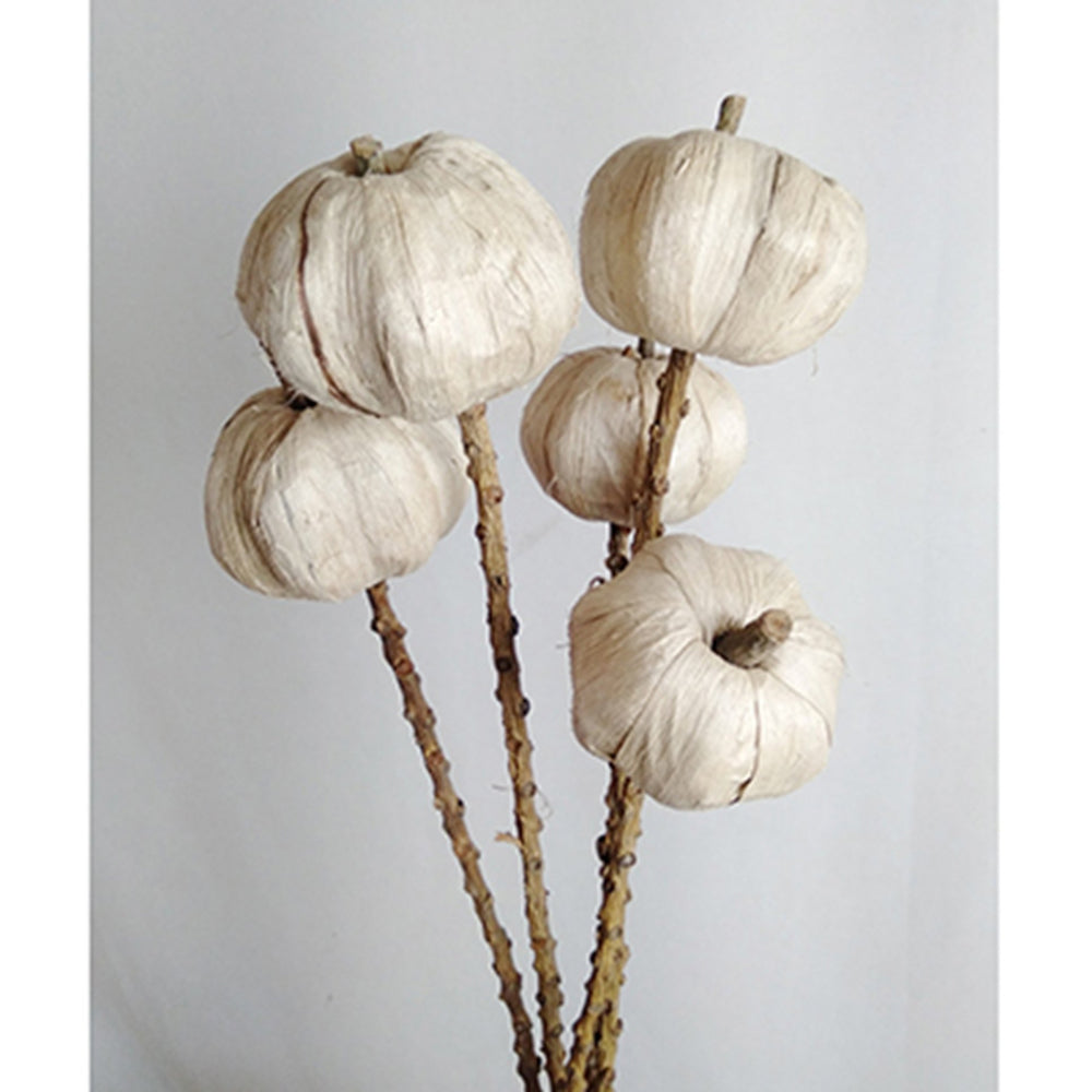 English Elm Set of 12 23.5" Pumpkin Pod Twig Stems, 5PCS/Bunch Rustic Artificial Fall Decor for Crafts and Events W2078P361071