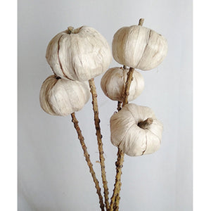 English Elm Set of 12 23.5" Pumpkin Pod Twig Stems, 5PCS/Bunch Rustic Artificial Fall Decor for Crafts and Events W2078P361071