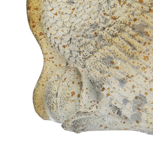 English Elm Set Of 2 Rustic Resin Turkeys With Pumpkins - Charming Fall Decor For Thanksgiving & Harvest Tables W2078P246102-GIGA