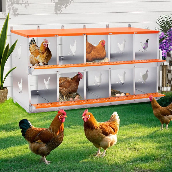 English Elm 10-bay Galvanized Steel Wall Mount Nest Box with Coconut Fiber Pads for Backyard Flocks W1422P355412