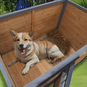 English Elm 45"large Solid Wood Outdoor Dog House with Pvc Roof Elevated Floor and Ventilation Windows W1431P166718