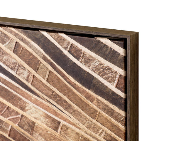 Sunpan TURNING Wall Art - 40" x 60" Bronze Floater Frame with Organic Tree-Ring Design for Any Space I A0428
