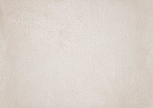 English Elm Traditional Light Gray Side Chairs Set of 2 — Upholstered Foam Cushion Dining Chairs, Sturdy Wood Frame, Classic Comfort B011P359656