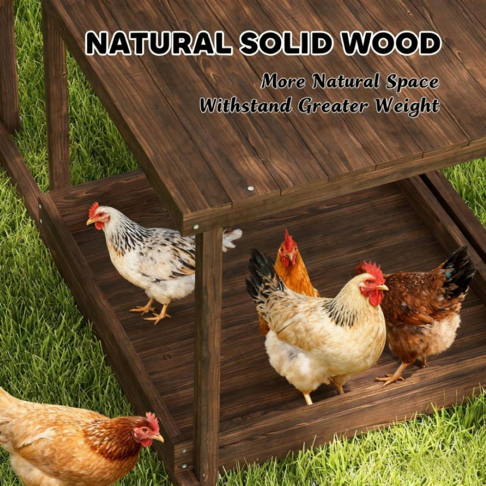 English Elm Pet Chicken Activity Play Set Solid Fir Wood Swing Ladder Perch Feeder Enrichment T3971P412299