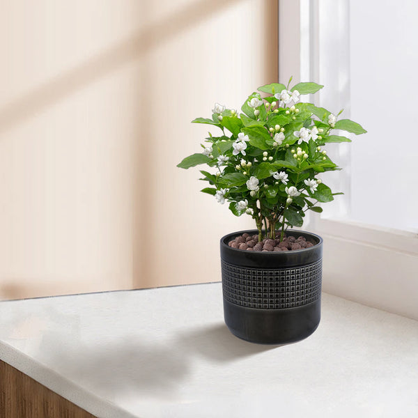 English Elm 3 Pieces Ceramic Flowerpot Set - Modern Handcrafted Planters For Indoor/Outdoor Elegance & Style W3273P322258