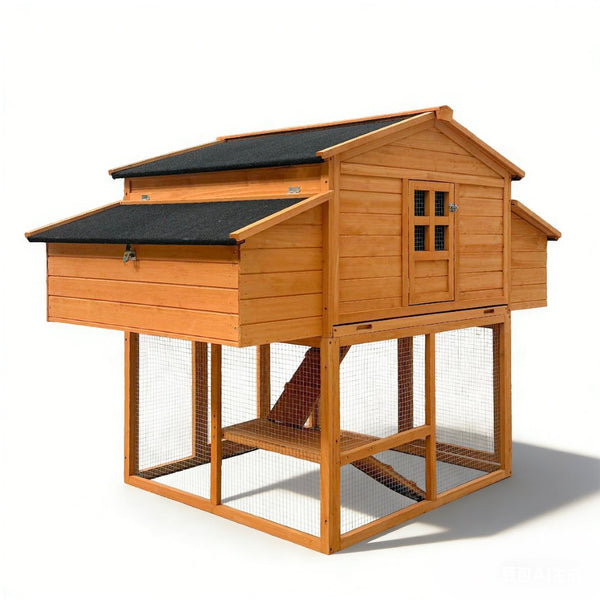 English Elm Chicken Coop Outdoor Backyard Habitat with Nesting Boxes Perch Rail and Weatherproof Roof W3166S00001