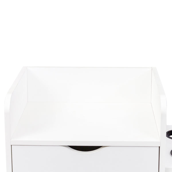 English Elm 4 Salon Storage Cabinet with 4 Drawers, 2 Hair Dryer Holders, Raised Legs — Compact Styling Station Organizer for Salon & Home W331P248070