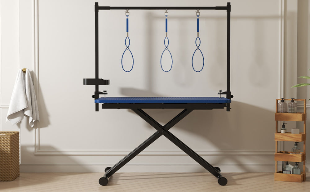 English Elm 47'' Foldable Dog Grooming Table X-lift Adjustable Height Station with Arm Noose Organizer W3587P358751