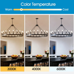 English Elm 20-light Oversized Wagon Wheel Chandelier Matte Black Farmhouse Style for Grand Spaces W5008P388936