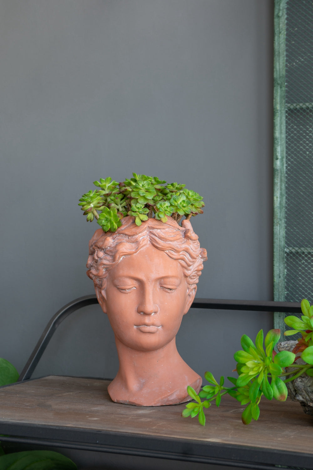 English Elm D7x11" Visage Head Bust Planter Brown — Antique-Inspired Ceramic Sculptural Garden Accent for Home & Patio (11.4" H) W2078P201060