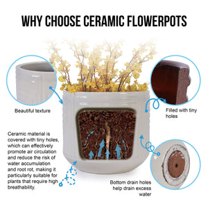 English Elm Ceramic Planter - Hand-Crafted Modern Flowerpot For Indoor & Outdoor Use In Elegant White Finish W3273P326369