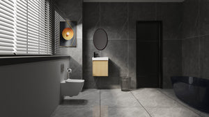 English Elm 20" Wall-Mounted Bathroom Vanity With Ceramic Sink - Stylish Oak Finish, Compact Storage Solution W1972P196394