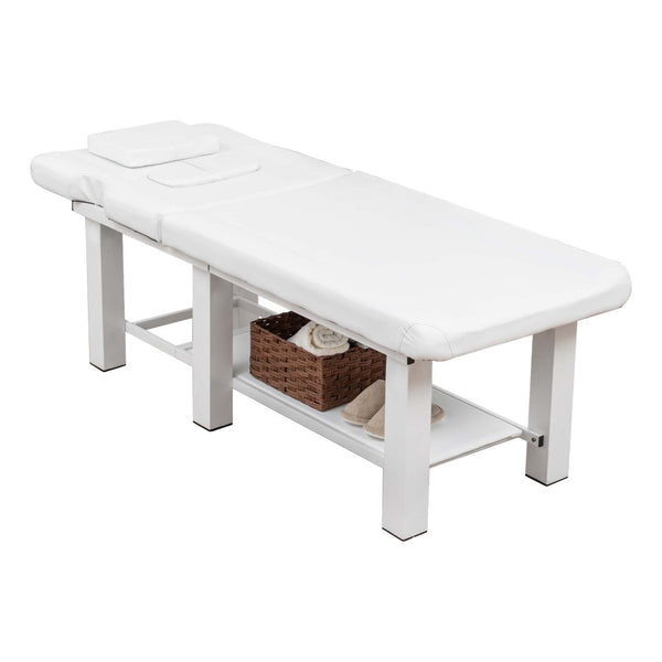 English Elm Spa Salon Massage Table Steel Frame Pu Leather Adjustable Backrest Bottom Shelf Storage W1422P382936