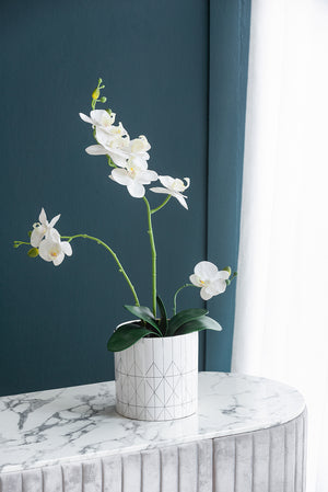 English Elm D6.3x6.3" Ceramic Planter with Modern Diamond Texture — Stylish Tabletop Pot for Indoor Greenery (7"H) W2078P391147