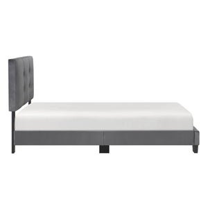 English Elm 1pc Twin Platform Bed Velvet Upholstered Button-Tufted Headboard Adjustable Height Low-Profile Solid Wood Frame 42" x 79.5" Dark Gray 44.5 L x 26 W x 5 H B011P203576