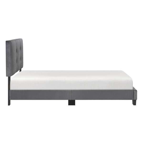 English Elm 1pc Twin Platform Bed Velvet Upholstered Button-Tufted Headboard Adjustable Height Low-Profile Solid Wood Frame 42" x 79.5" Dark Gray 44.5 L x 26 W x 5 H B011P203576