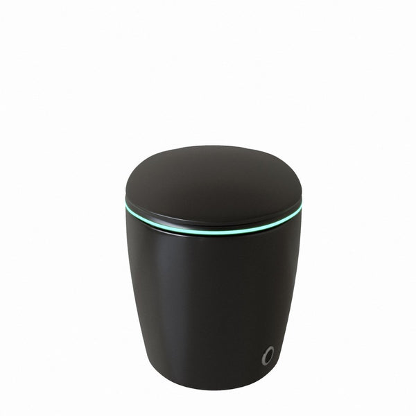 English Elm Unique Smart Toilet with Built in Bidet Auto Lid Foot Sensor and Warm Air Dryer W3133P384976