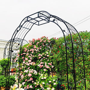 English Elm Metal Garden Arch Powder Coated Steel Trellis for Climbing Roses Outdoor Weddings Black W1586P268772