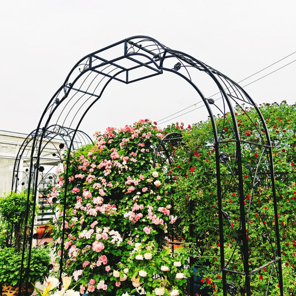 English Elm Metal Garden Arch Powder Coated Steel Trellis for Climbing Roses Outdoor Weddings Black W1586P268772