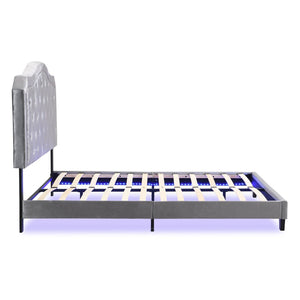 English Elm Upholstered Queen Platform Bed Grey Velvet Tufted Curved Headboard with Led Lighting W311P228694