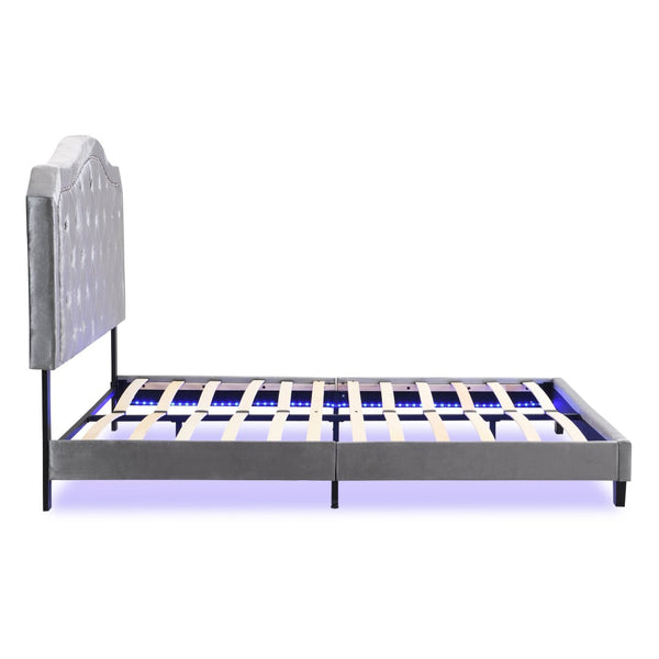 English Elm Upholstered Queen Platform Bed Grey Velvet Tufted Curved Headboard with Led Lighting W311P228694