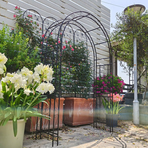 English Elm Metal Garden Arch Powder Coated Steel Frame for Climbing Roses and Pathway Decor W1586P268781