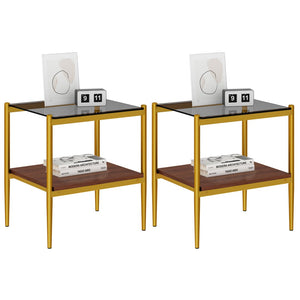 English Elm Set Of 2 Modern Rectangle End Tables With Gray Tempered Glass Top And Sturdy Mdf Storage Shelf W241P184252-GIGA