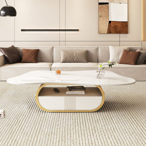 English Elm Modern Butterfly Coffee Table with Sintered Stone Top, Stainless Steel Base, Drawer & Shelf Storage Gold+White W3136S00018