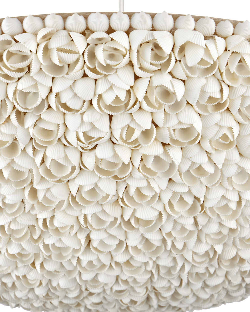 Currey & Company Virtu Shell Bowl Chandelier Coastal Floral Ceiling Light for Dining and Entryway 9000-1341