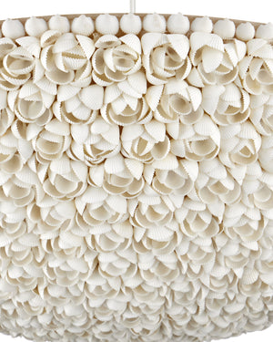Currey & Company Virtu Shell Bowl Chandelier Coastal Floral Ceiling Light for Dining and Entryway 9000-1341