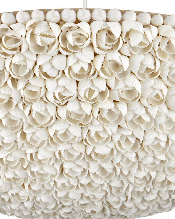 Currey & Company Virtu Shell Bowl Chandelier Coastal Floral Ceiling Light for Dining and Entryway 9000-1341