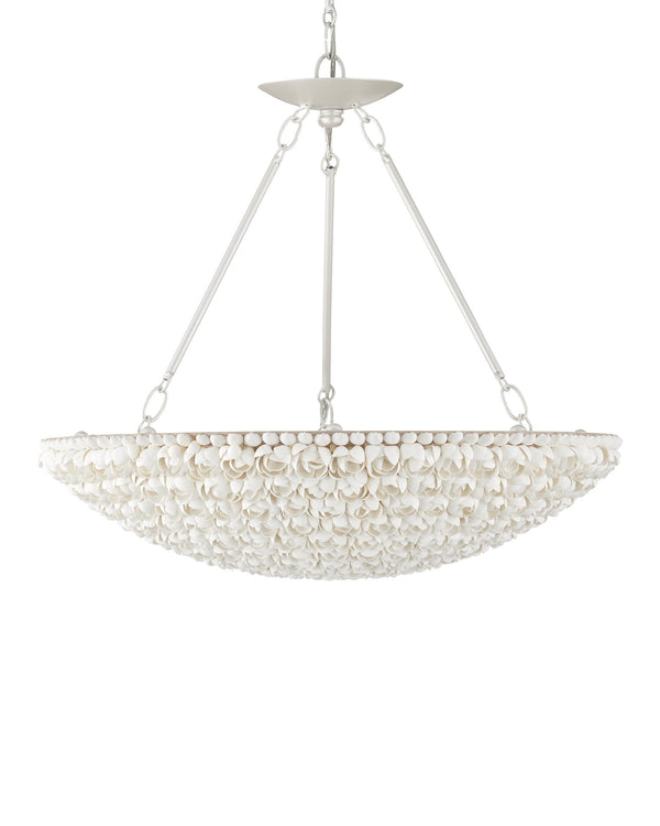 Currey & Company Virtu Shell Bowl Chandelier Coastal Floral Ceiling Light for Dining and Entryway 9000-1341