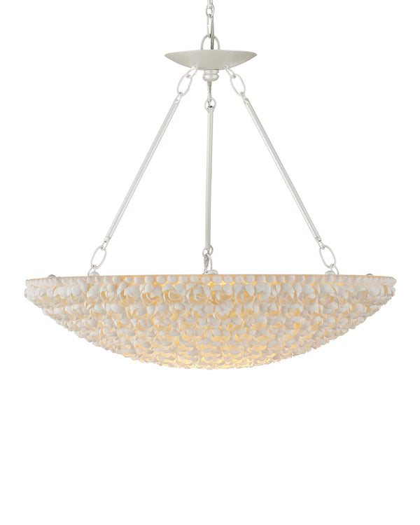 Currey & Company Virtu Shell Bowl Chandelier Coastal Floral Ceiling Light for Dining and Entryway 9000-1341