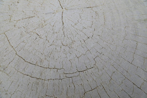 Lilys Capri Live Edge Primitive Round Coffee Table Large(Size Vary  25"-35" Wide) 9017-L