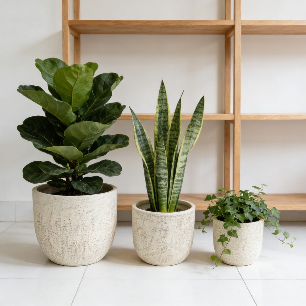 English Elm Large Concrete Style Magnesium Oxide Round Planters Set for Patio and Indoor Decor W5212P434277