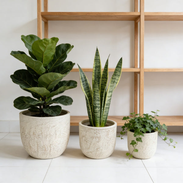 English Elm Large Concrete Style Magnesium Oxide Round Planters Set for Patio and Indoor Decor W5212P434277