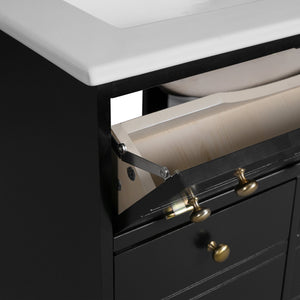 English Elm 24" Modern Bathroom Vanity with Ceramic Sink, Gold Handles, Tip-Out Drawer & Dual Soft-Close Doors N710P276692B