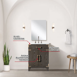 English Elm Brown Oak Single Bath Vanity 24" W x 18" D with Acrylic Top, 18" Mirror & Chrome Gooseneck Faucet Set B2731S02000