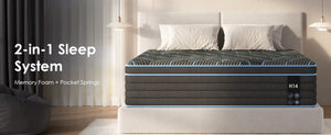 English Elm Twin Hybrid Mattress 10 Inch Pocketed Coil Memory Foam Medium Firm Sleep Support Black+Blue W2889P423130