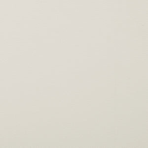 OSP Home Furnishings Trenton Chair  - Set of 2 White