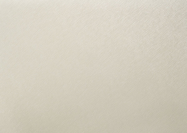 English Elm 1Pc Pearl White Queen Panel Bed - Elegant Upholstered Design With Button Tufting & Nailhead Trim B011S01446