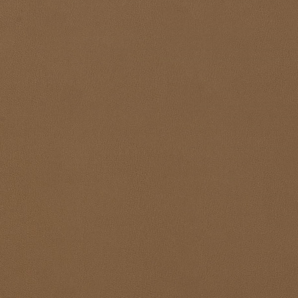 Eurostyle Blanche Side Chair Set Of 2 - Sleek Design, Comfortable Foam Seating For Stylish Home Decor Dark Tan,Natural Leatherette Over Foam 91015tan-mp2