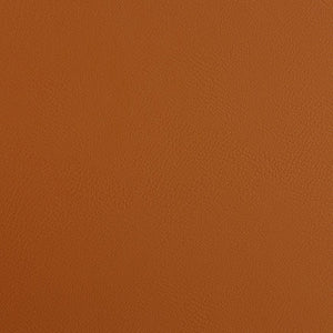 Blanche Side Chair - Sleek Design with Comfortable Foam Seat for Elegant Home Decor - Set of 2